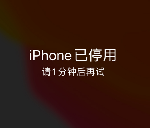 港闸苹果手机维修分享:iPhone 显示“不可用”或“已停用”怎么办？还能保留数据吗？ 