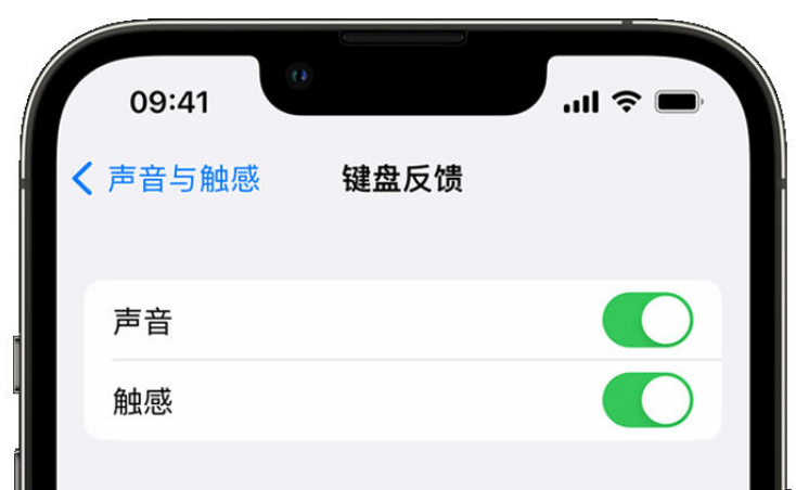 港闸苹果手机维修分享iPhone 14触感键盘使用方法 