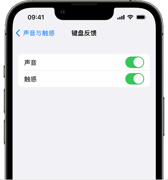 港闸苹果14维修店分享如何在 iPhone 14 机型中使用触感键盘 