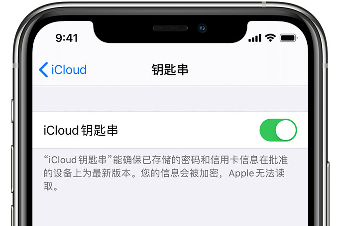 港闸苹果手机维修分享在 iPhone 上开启 iCloud 钥匙串之后会储存哪些信息 